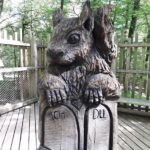 Eichhörnchens Sitzplatzangebot