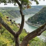 Staunende Bäume blicken auf den Rhein
